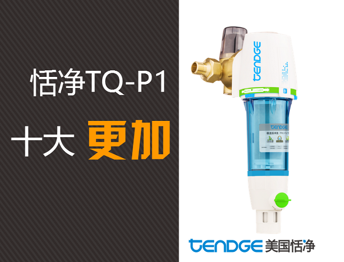 管道过滤器,前置过滤器,恬净净水器