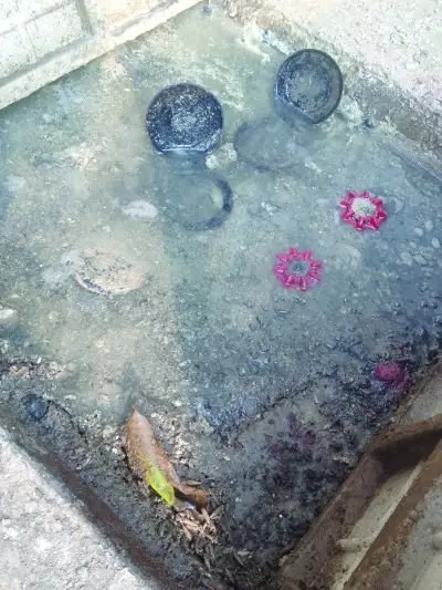 南京江宁一居民家中自来水发现蠕动红线虫.jpg