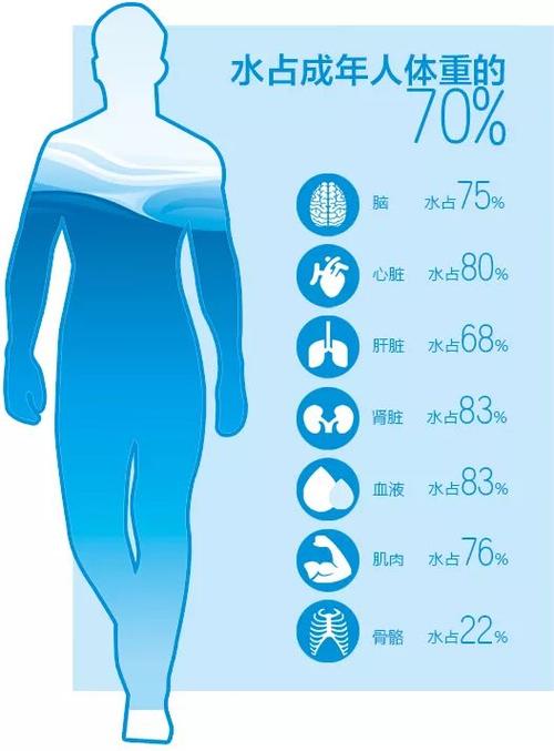 Tendge恬净净水-人体中的水份